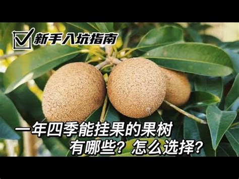 適合 北部種植的果樹|108種北部適合種的水果樹指南：讓您輕鬆實現果園夢。